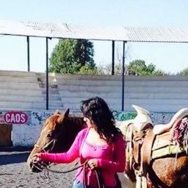 Incondicionalmente con AMLO, obradorista, romántica, la loca que ama los caballos 🐴 y la poesía empedernidamente...