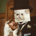 Cat'o'dict Bumbercatch (@thatmattthere) Twitter profile photo Cat'o'dict Bumbercatch (@thatmattthere) Twitter profile photo