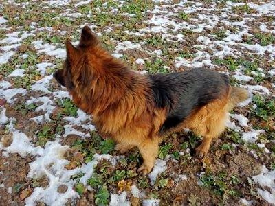 Dernard12's profile picture. Trzaskowski 2025!!✌️