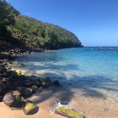 hugodunord's profile picture. 