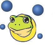Froggies Eco Wash is Traralgon's most environmentally friendly touchfree automatic and self serve car wash