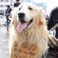 flo-yuyu (@flor_thyu) 's Twitter Profile