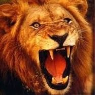 Markfullness's profile picture. Seasoned RDN|Heaven minded|Lover of sports #MUFC|Positive thinker|Politics & Much more