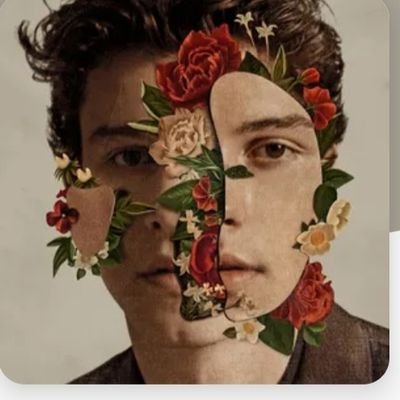 BNibbu's profile picture. 