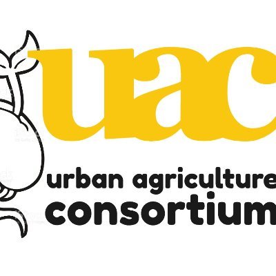 Co-creating the conditions for urban and peri-urban agroecology to thrive in the UK.