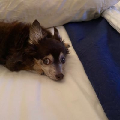 susanr61425248's profile picture. 