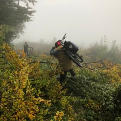 marius_niculae's profile picture. 