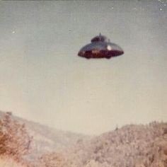 GeoMundo1's profile picture. 