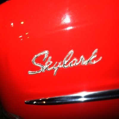 SkylarkLive Profile Picture