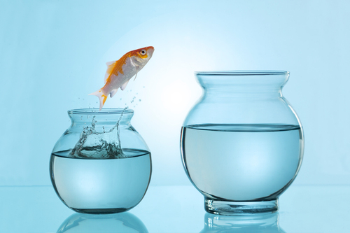 francesgonzalez's profile picture. Proud owner of Frances Gonzalez Designs and Photography. I am a Graphic Artist and Photographer. I am capable of designing and photographing any given subject.