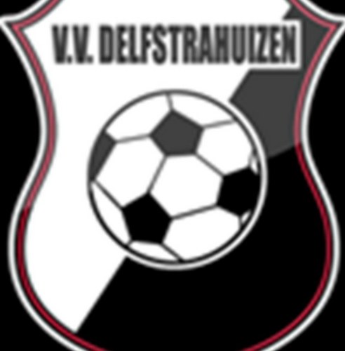 vvDelfstrahuizn's profile picture. 