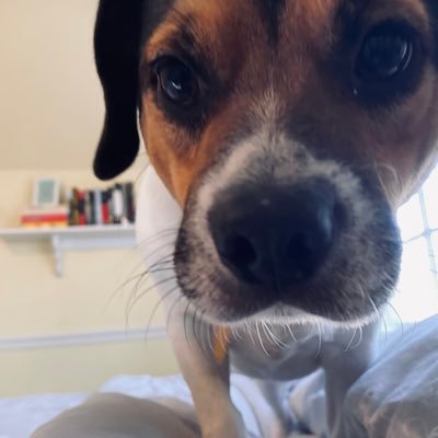 ael5620's profile picture. 