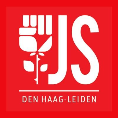 Jonge Socialisten, jongerenpartij van de PvdA, failliet