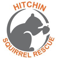 Hitchin Squirrel Rescue(@AllumPaul) 's Twitter Profileg