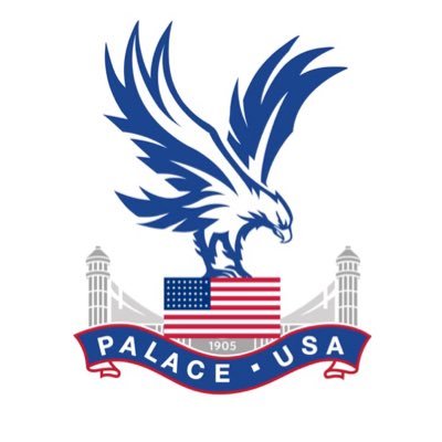 palaceusa's profile picture. COYP 🇺🇸