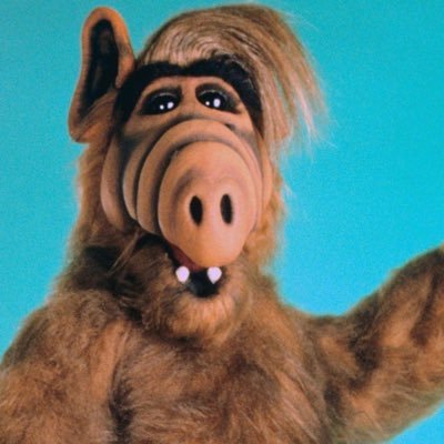 Lets have a snack now, we'll get friendly later. #ALF #アルフ