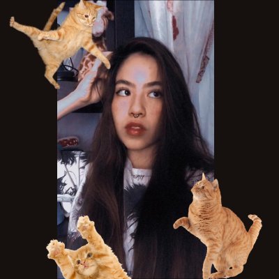 RenanJanis's profile picture.