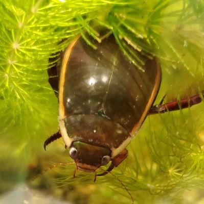 石・生物・その他科学系はこちら。