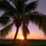 KelsiJoy3's profile picture. Writer, lover of dogs, music, books, oceans, beaches and humans. God is my compass, empowered by The Holy Spirit. #WritingCommunity #amwriting #mystory