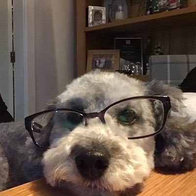 Sonia_E_C's profile picture. children and young people programme manager, Lincs ICB