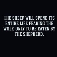 Hello Purgatory (@hellopurgatory) 's Twitter Profile