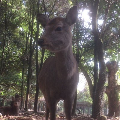 海無し県に住んでますが、タコ釣り・根魚・ショアジギにハマリまくってる永遠の釣り初心者です。 アラフォーで子ども２なので嫁ちゃんに怒られない程度で釣りしていきます。ほぼ毎回ボウズなので色々教えてください🙇‍♂️ 無言フォロー失礼します！