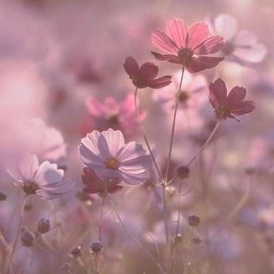 WGiV6s35yXDNvUS's profile picture. 世の中　詐欺案件が横行
簡単なものはないですよ！
騙されないでね🍀