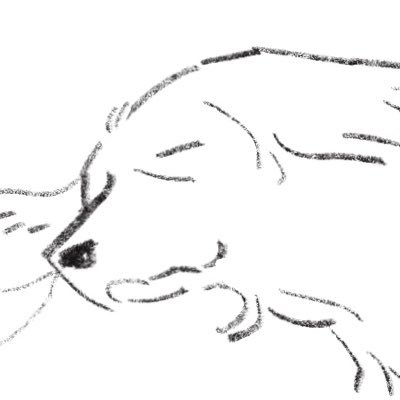 イチコさんのプロフィール画像