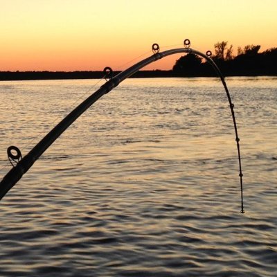 Ontario's Sport Fishing Resource for all Anglers. We recognize all Anglers albeit their level of skill. Tag us in your tweets, we love everything fishing...!