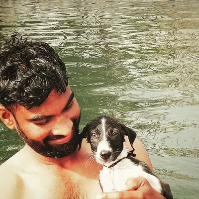 ShubhamNipanik1's profile picture. 