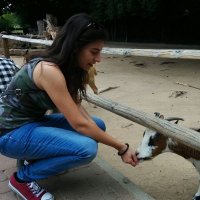 Lucia Cassella (@luciacassella) 's Twitter Profile