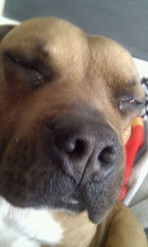 jorge251080's profile picture. 