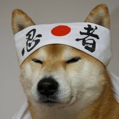 DPizzagaming's profile picture. 