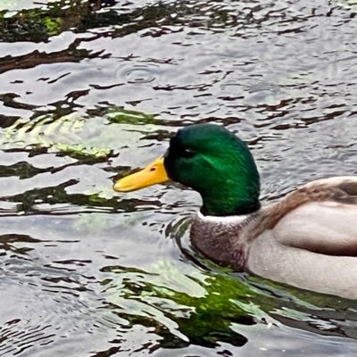 な Auf Twitter わたしのおっぱいを好きっていってくれる方に今日も感謝の気持ちを込めて無加工を貫きます Twitter