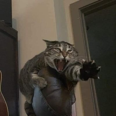 ihituhard's profile picture. Yeah