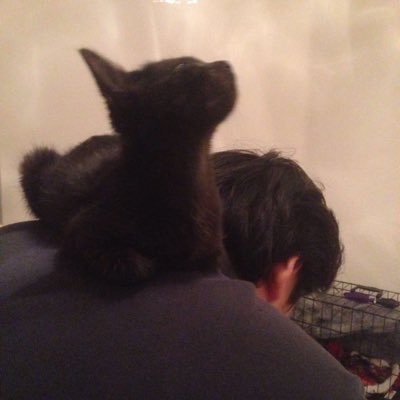 jiashi13's profile picture. Student, pet parent, beer lover