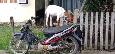 76Arull's profile picture. enjoi aja