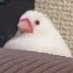 sRrrf (@xueqin_errr) Twitter profile photo sRrrf (@xueqin_errr) Twitter profile photo