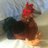 Avem_Darkstar's profile image
