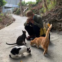 阿明 (@kuramototomoaki) 's Twitter Profile Photo 阿明 (@kuramototomoaki) 's Twitter Profile Photo