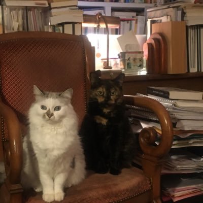 Chus et Corita sont les assistantes de Patricia Falguières, professeure à l'École des Hautes Études en Sciences Sociales (EHESS), Paris
http://centregeorgsimmel