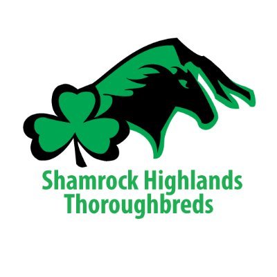 Claim your stake in a Winner. Shamrock Highlands Thoroughbreds is an exciting new racing partnership.