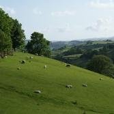 kbscott4's profile picture. #tomorrowspaperstoday