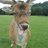 sarahfarrell29's profile image
