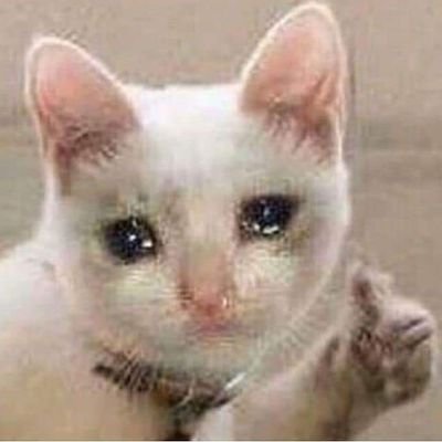 NgaChan75322854's profile picture. 