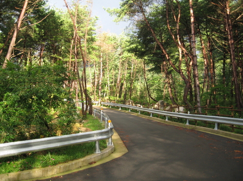 dufmaaksghk's profile picture. 혼자산다는게 뭔지 아세요? 혼자 죽어간다는것과 같은 말인지도 모릅니다. 그러나 아직은 죽지 않았다는걸 보여 주고 싶습니다. 화이팅!! 종북좌빨척결! 진정한 보수! 보수 정권 재창출!