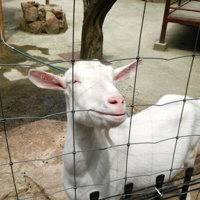 rasaさんのプロフィール画像