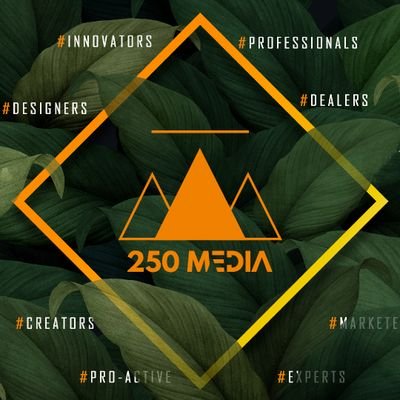 250 Media Avenue is the best fully integrated Digital agency based in Africa
We maximize Engagement, Leads, and Revenue through Digital Campaigns.