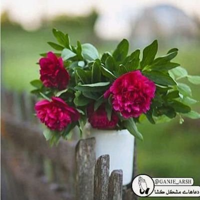 Moment67916394's profile picture. 