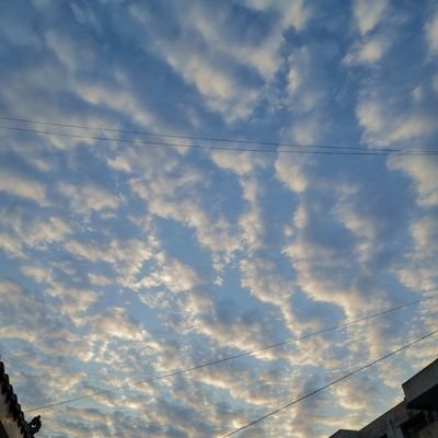 jack66720800's profile picture. open sport stronger